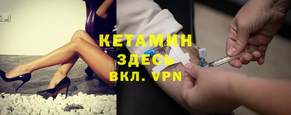 стаф Богданович