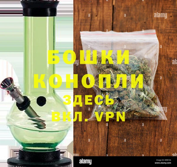 стаф Богданович