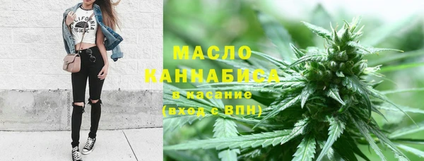 стаф Богданович
