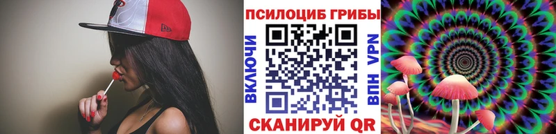 Псилоцибиновые грибы Psilocybine cubensis  Новомичуринск 